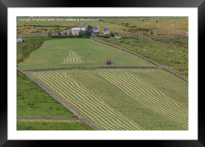Haytime in the Hudes Hope, Teesdale Framed Mounted Print by Richard Laidler