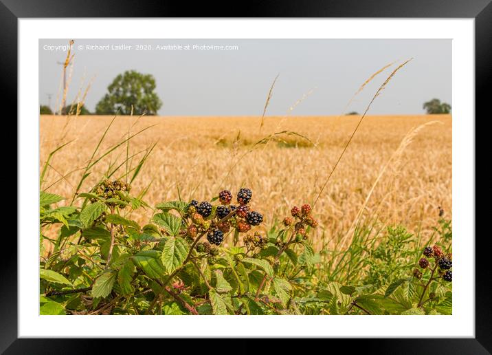 A Hint of Autumn Framed Mounted Print by Richard Laidler