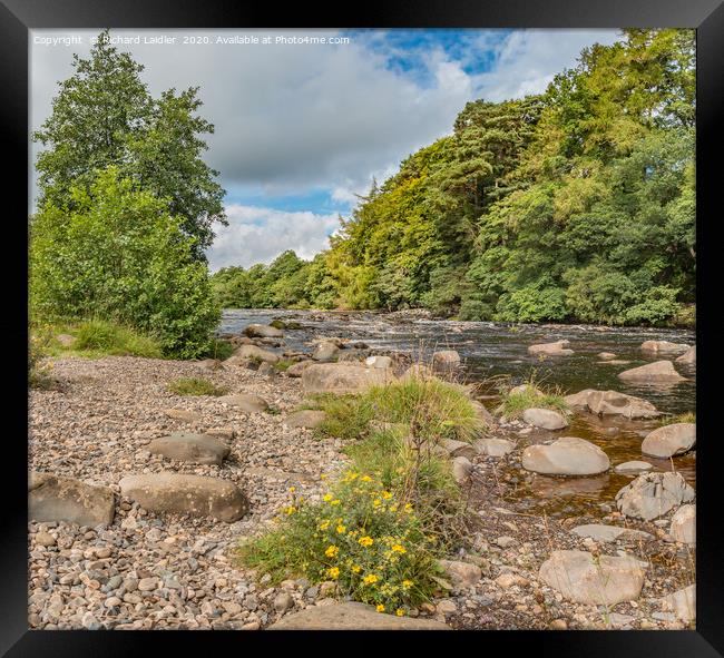 River Tees Riverbank from the Pennine Way Framed Print by Richard Laidler