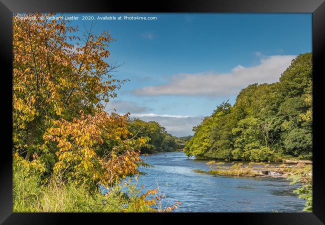 Early Autumn Hues at Wycliffe, Teesdale Framed Print by Richard Laidler