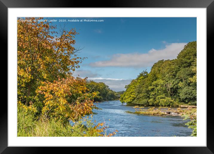 Early Autumn Hues at Wycliffe, Teesdale Framed Mounted Print by Richard Laidler