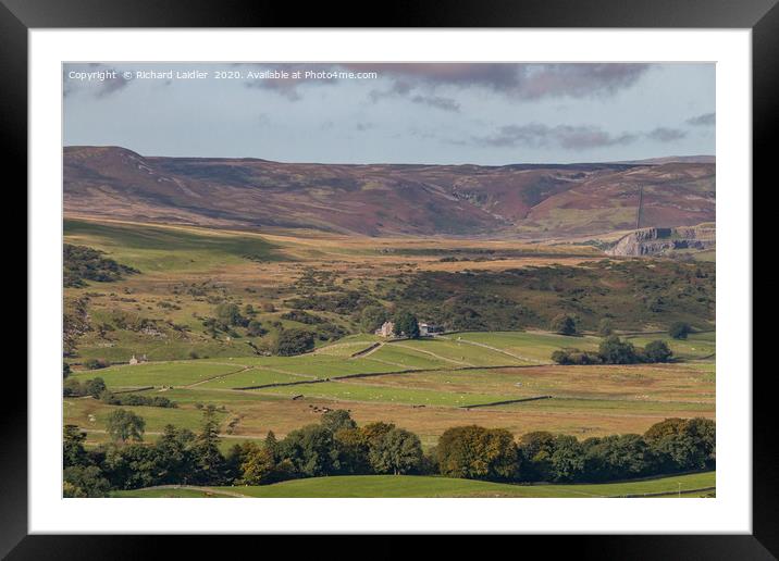 Hield House Farm, Upper Teesdale Framed Mounted Print by Richard Laidler