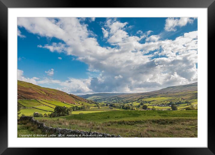 Swaledale Walls and Barns Framed Mounted Print by Richard Laidler