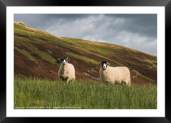 Swaledales and Kisdon Hill Framed Mounted Print by Richard Laidler