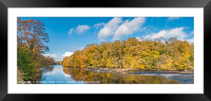 Autumn Panorama on the Tees at Wycliffe Framed Mounted Print by Richard Laidler