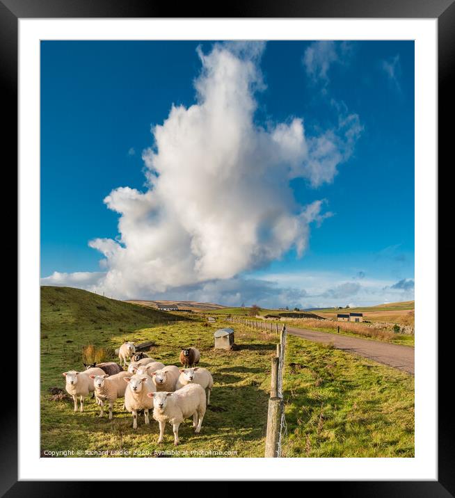 Big Sky over Widdybank Framed Mounted Print by Richard Laidler