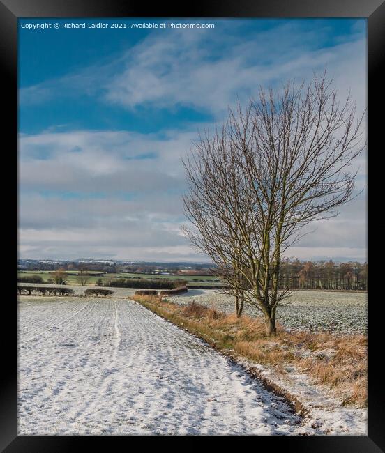 Winter Farmland, Lower Teesdale Framed Print by Richard Laidler