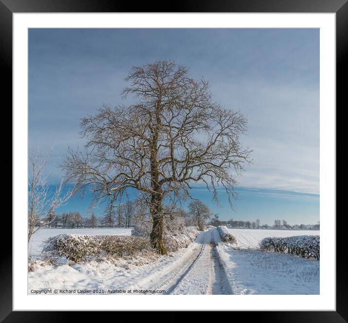 Van Farm Lane in Snow (3) Framed Mounted Print by Richard Laidler