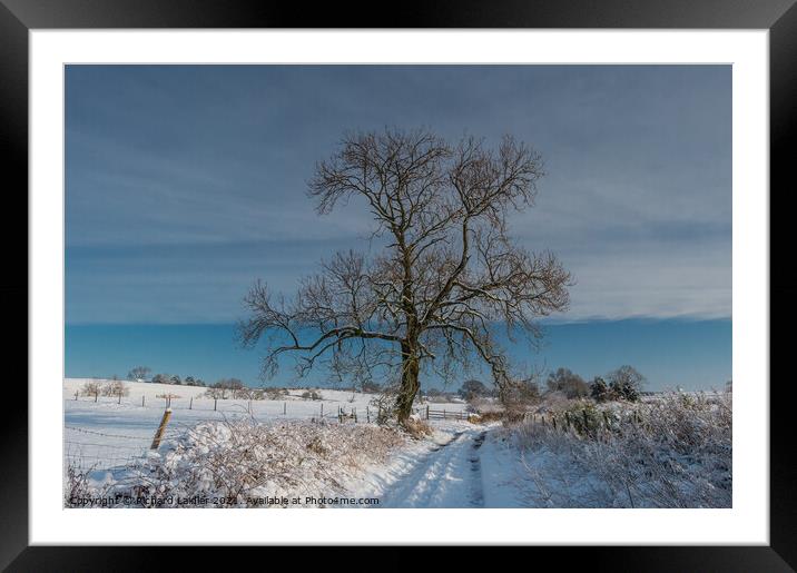 Park Lane, Hutton Magna, Teesdale in Snow Framed Mounted Print by Richard Laidler