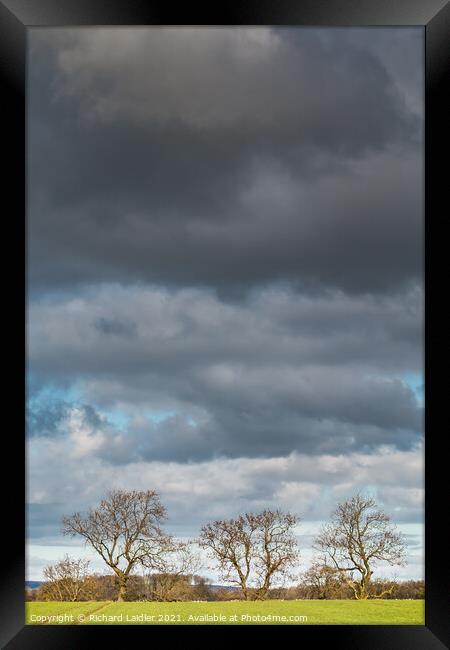 Bare Ash Trees under a Big Winter Sky Framed Print by Richard Laidler