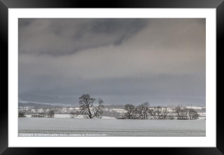Sunny Interval in the Snow Framed Mounted Print by Richard Laidler