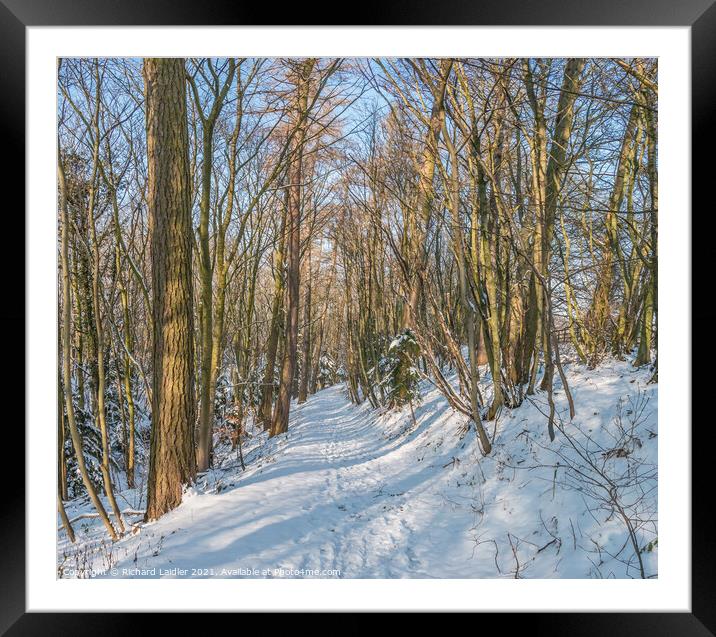 Winter Woodland at Wycliffe Framed Mounted Print by Richard Laidler