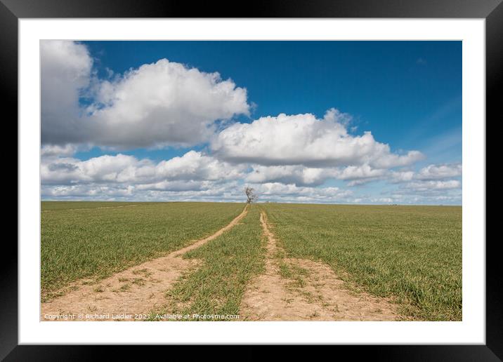 Through the Wheat to the Sky Framed Mounted Print by Richard Laidler