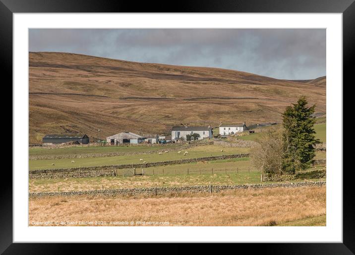 Waters Meeting and Herdship Farms, Harwood, Upper Teesdale Framed Mounted Print by Richard Laidler