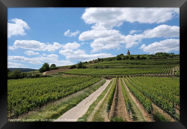 Beautiful vineyards near Wachenheim, Germany Framed Print by Lensw0rld 