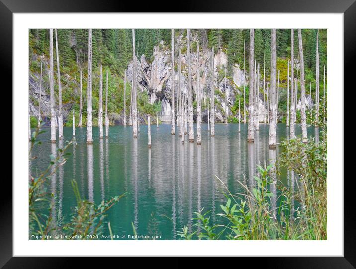 Submerged tree trunks in Lake Kaindy in Kazakhstan Framed Mounted Print by Lensw0rld 