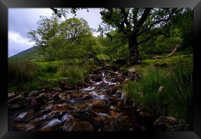 Lake District stream running into Buttermere Framed Print by Jules Taylor