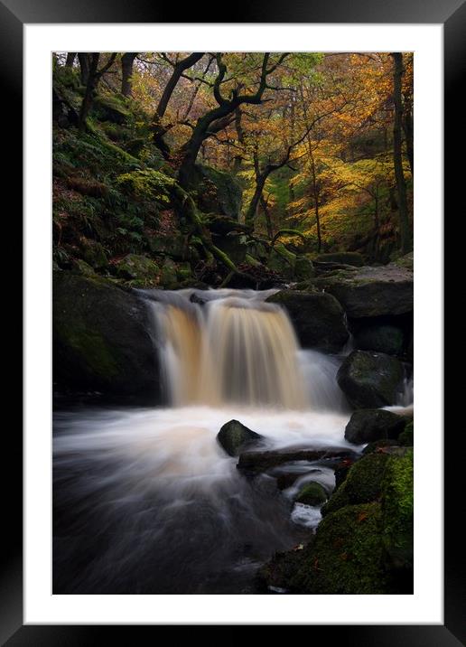 Padley Gorge in Autumn, Peak District Framed Mounted Print by Jules Taylor