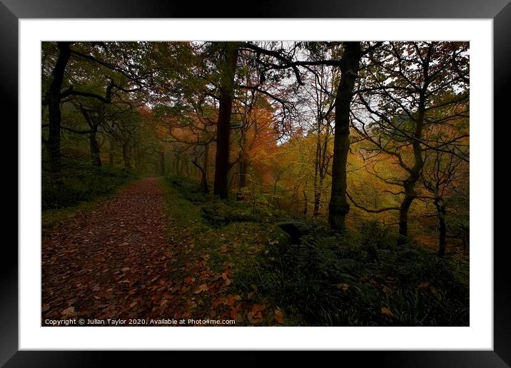 Padle Gorge woodland Framed Mounted Print by Jules Taylor