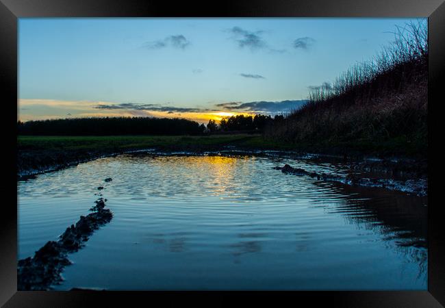 The reflective countryside sunset Framed Print by David Wilson
