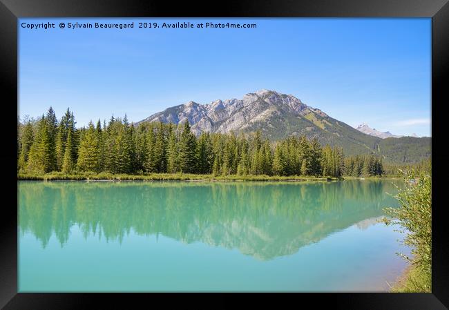 Reflection on Bow River Framed Print by Sylvain Beauregard