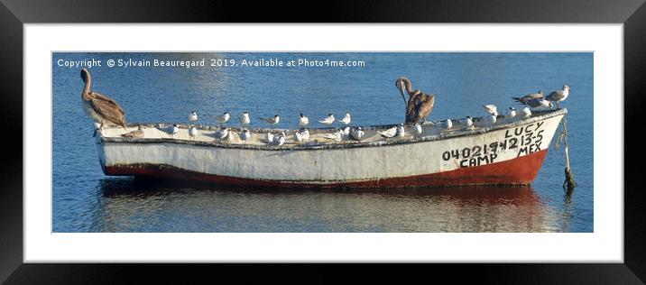 Bird taking over fisherman's boat, panorama 3:1 Framed Mounted Print by Sylvain Beauregard
