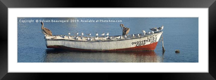 Bird taking over fisherman's boat, panorama 4:1 Framed Mounted Print by Sylvain Beauregard