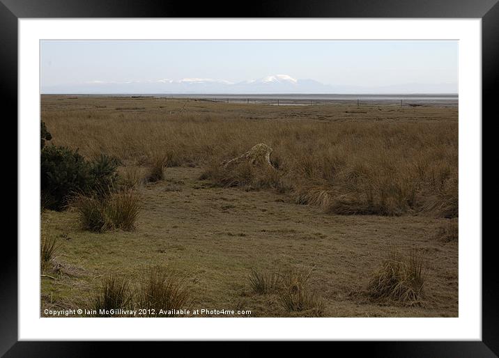Solway Salt Marshes Framed Mounted Print by Iain McGillivray
