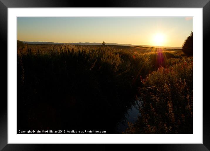 Sunset Field Framed Mounted Print by Iain McGillivray