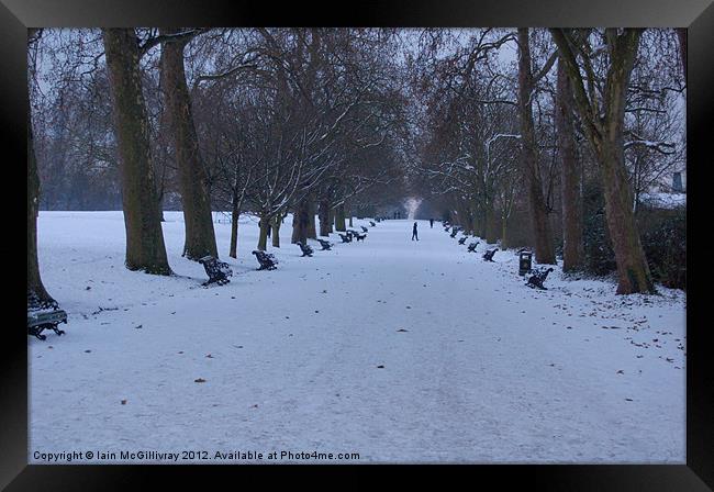 Regent''s Park in Winter Framed Print by Iain McGillivray