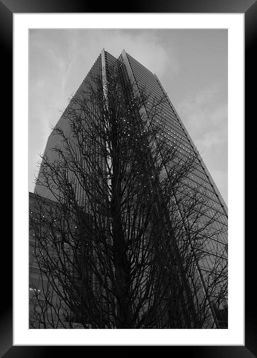 Canary Wharf Tower and Tree Framed Mounted Print by Iain McGillivray