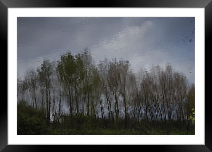 Tree Reflection Art 1 Framed Mounted Print by Iain McGillivray