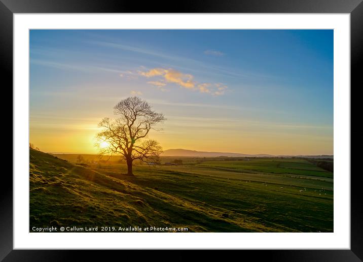 Repentance Tower, Hoddom - Dumfries & Galloway Framed Mounted Print by Callum Laird