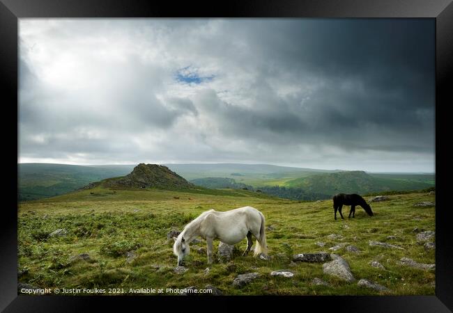 Dartmoor Ponies, Devon Framed Print by Justin Foulkes