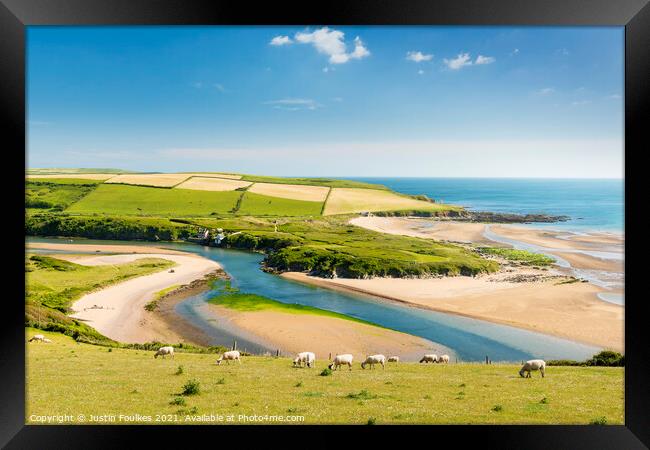 Sheep above Bantham beach, South Devon Framed Print by Justin Foulkes