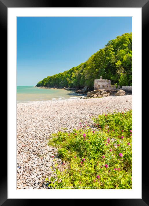 Elberry Cove, near Brixham, South Devon Framed Mounted Print by Justin Foulkes