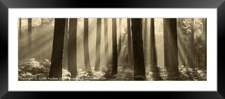 Misty Forest panorama  Framed Mounted Print by Justin Foulkes