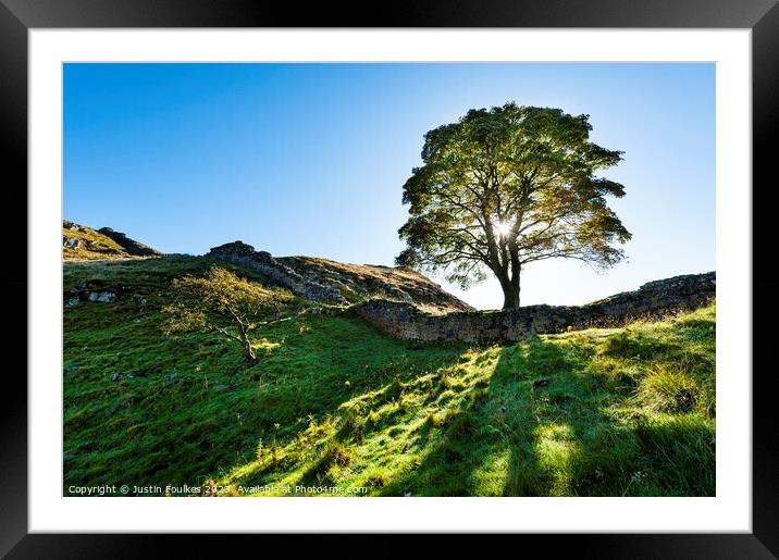 Sycamore Gap, Hadrian's Wall, Northumberland Framed Mounted Print by Justin Foulkes