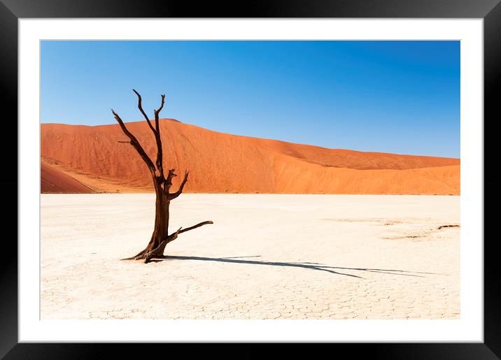 Lone Tree, Dead Vlei, Namibia Framed Mounted Print by Justin Foulkes