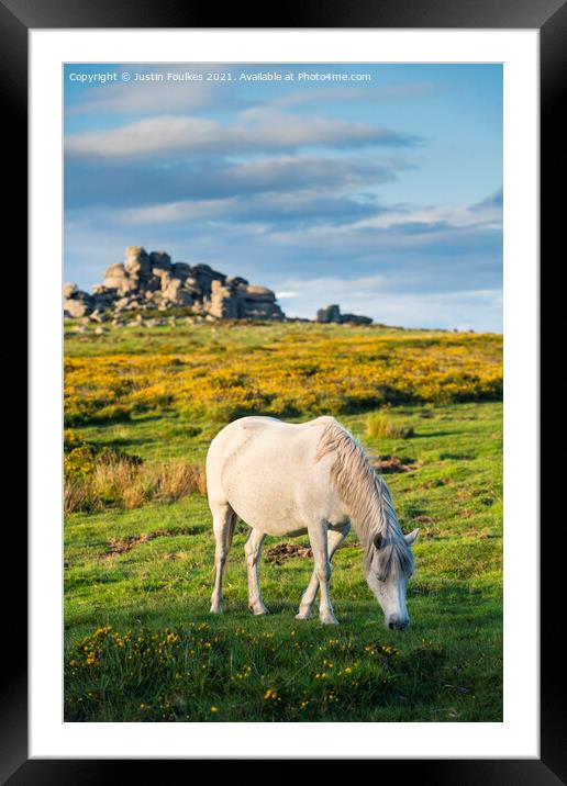 Dartmoor Pony at Hound Tor Framed Mounted Print by Justin Foulkes