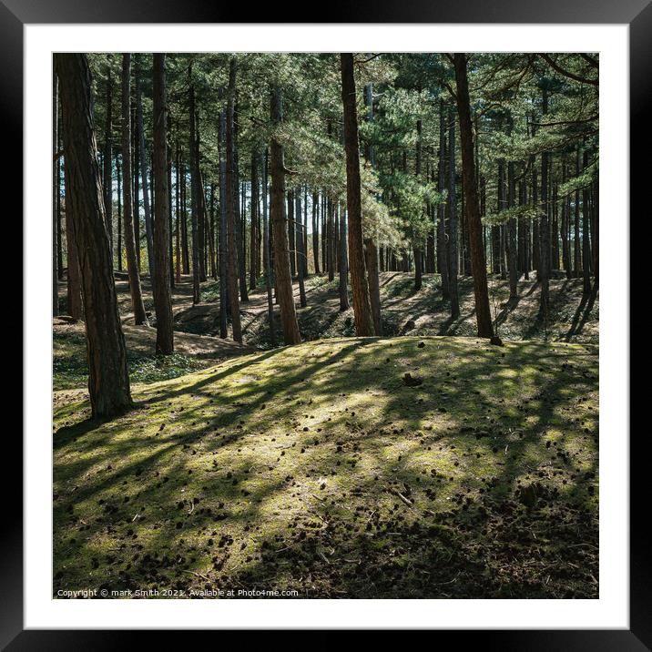 woodland shadows Framed Mounted Print by mark Smith