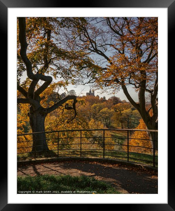 Autumn, Greenwich Park Framed Mounted Print by mark Smith
