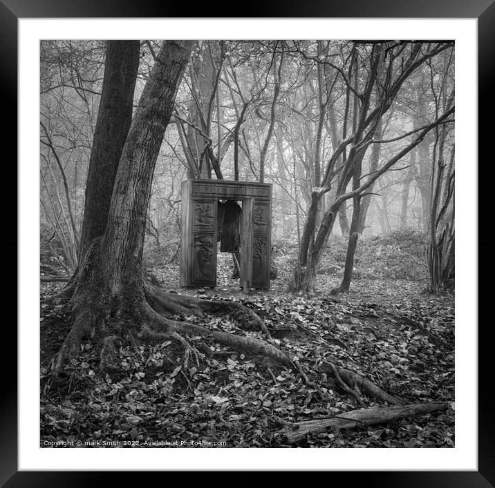 wardrobe in the woods Framed Mounted Print by mark Smith