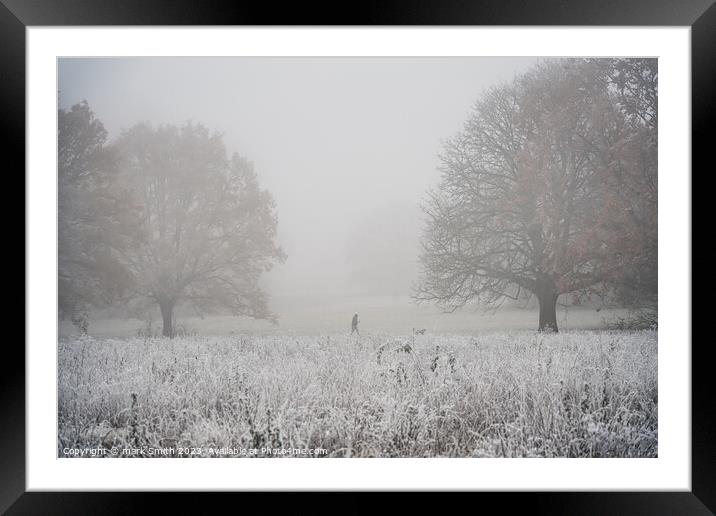 frosty morning, nonsuch park Framed Mounted Print by mark Smith