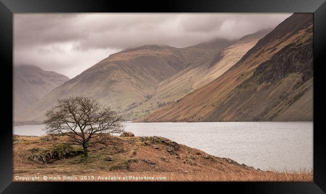 Lone Tree Wast Water Framed Print by mark Smith
