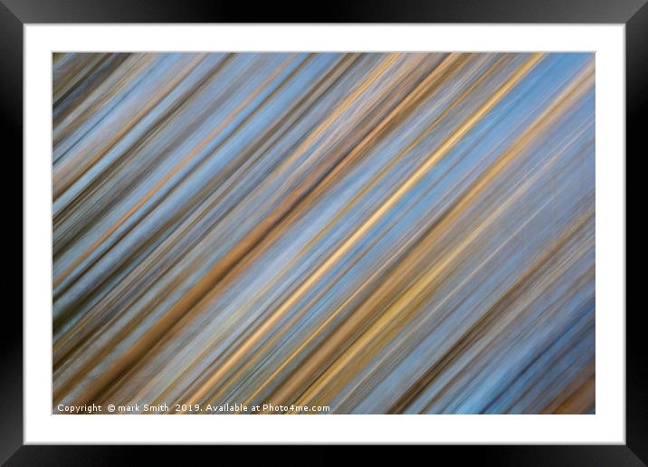 Abstract beech trees Framed Mounted Print by mark Smith