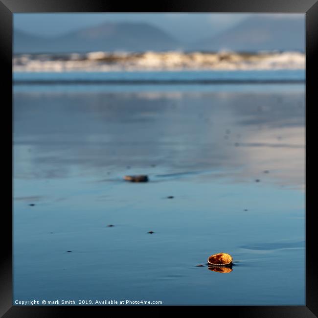 Sea Shell, Inch Beach Framed Print by mark Smith