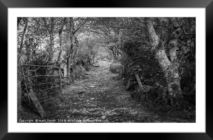 Farmland footpath in County Kerry Framed Mounted Print by mark Smith