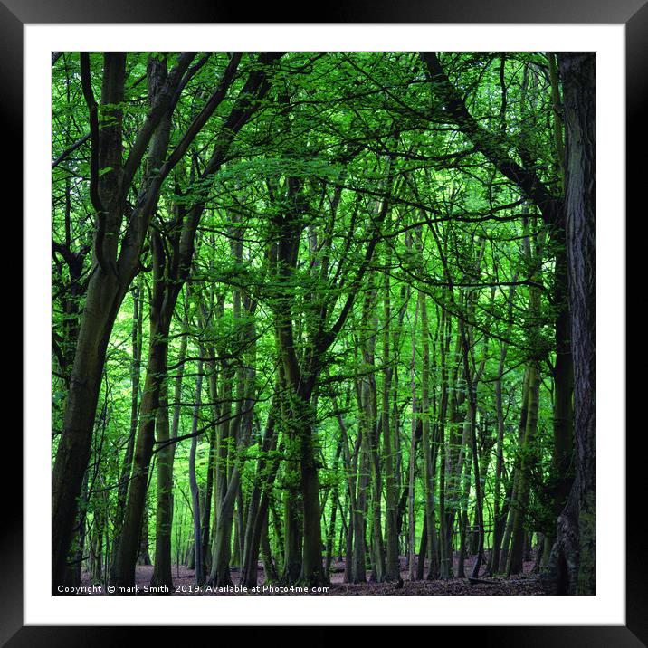 Summer Woodland Framed Mounted Print by mark Smith