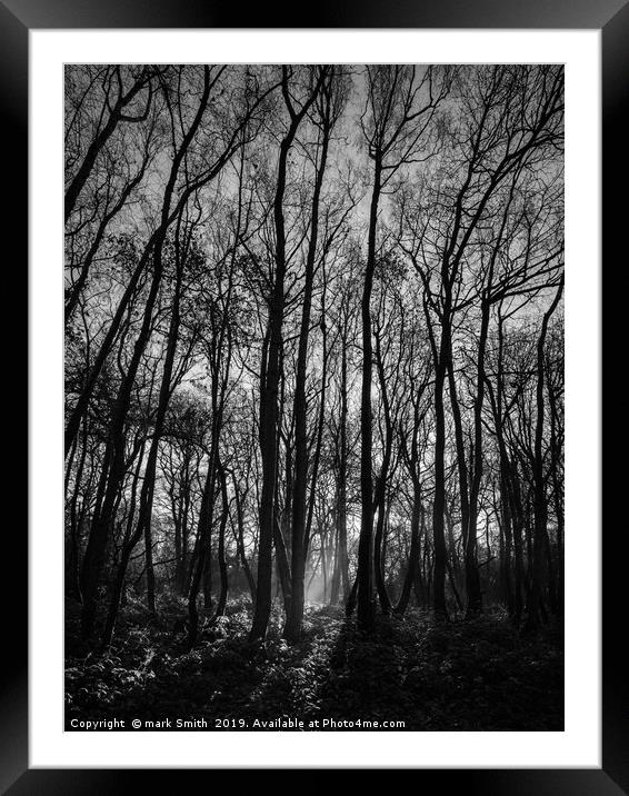 Winter Woodland Framed Mounted Print by mark Smith